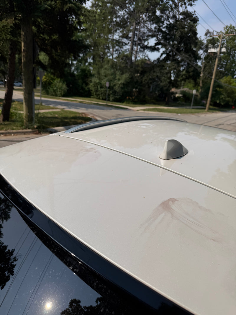 Trunk Cargo Area Deep Cleaning - Before